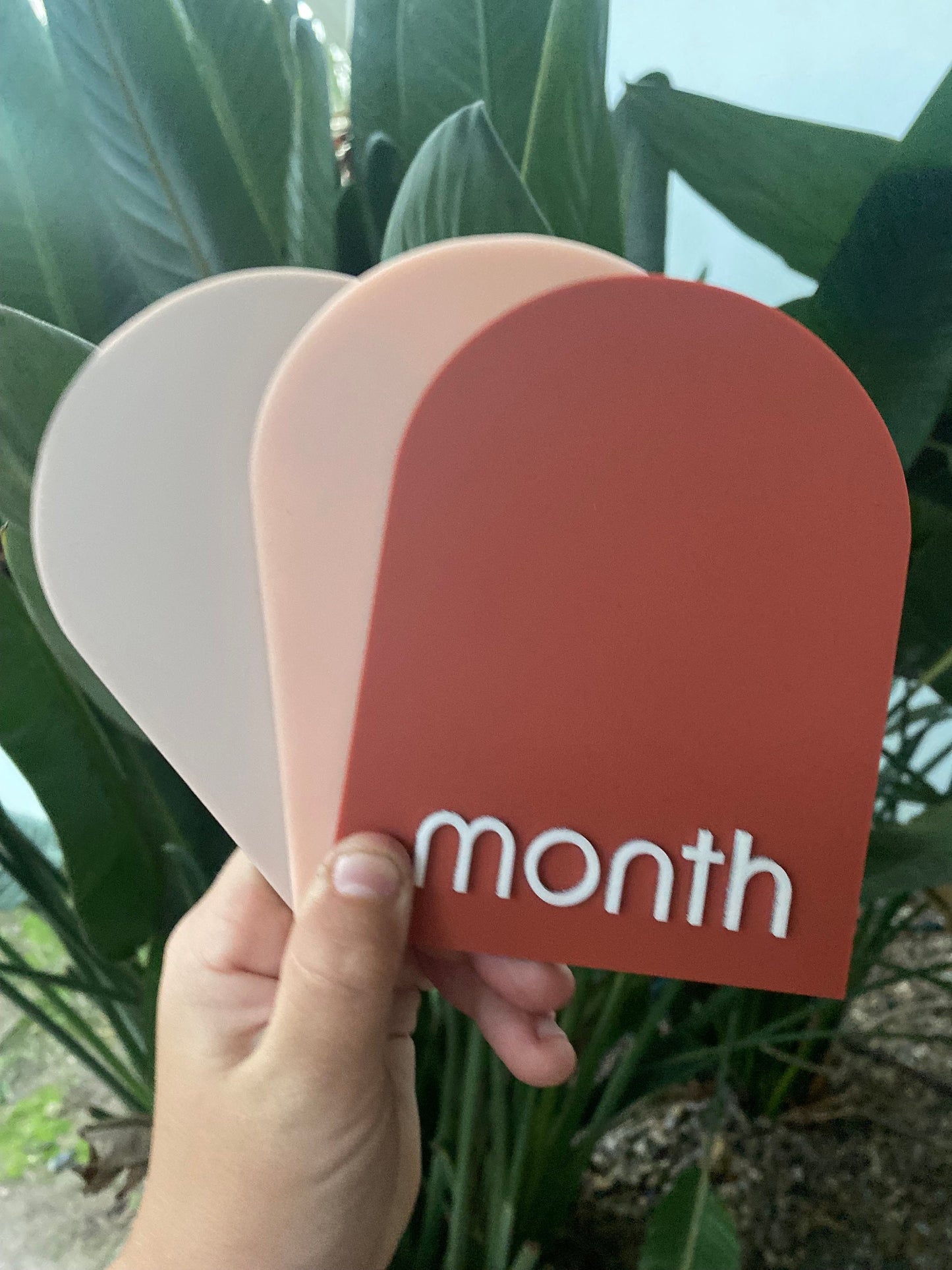 Arch Acrylic Milestone Discs | Baby Milestone | Interchangeable