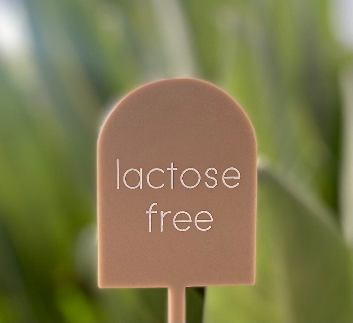 Dietary & Free From Food Display Signs