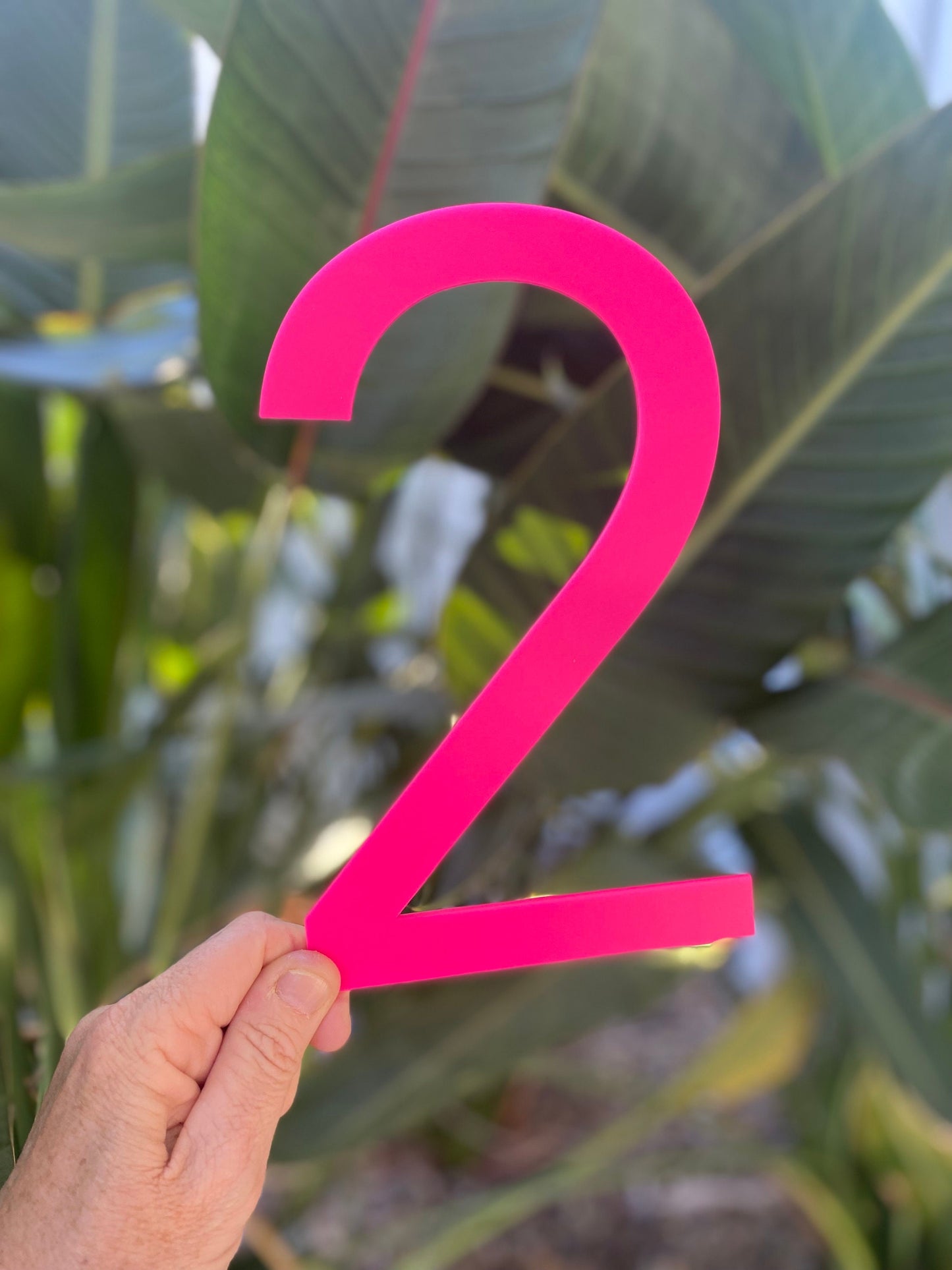 Large Acrylic House Numbers