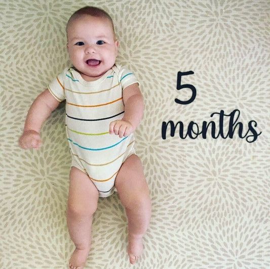 Milestone Wooden or Acrylic Numbers and Words Pack
